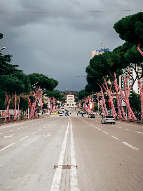 a road filled with lots of pink trees