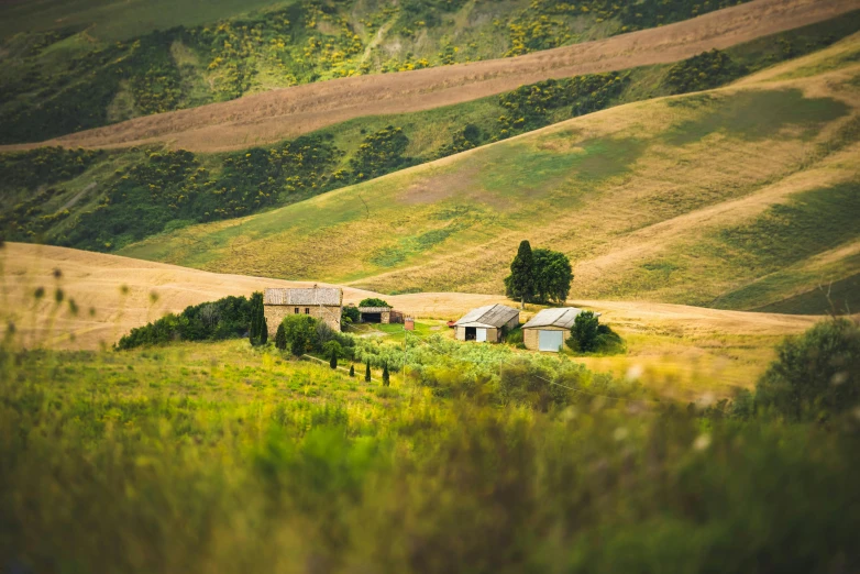 a farm scene with a couple of trees in the middle