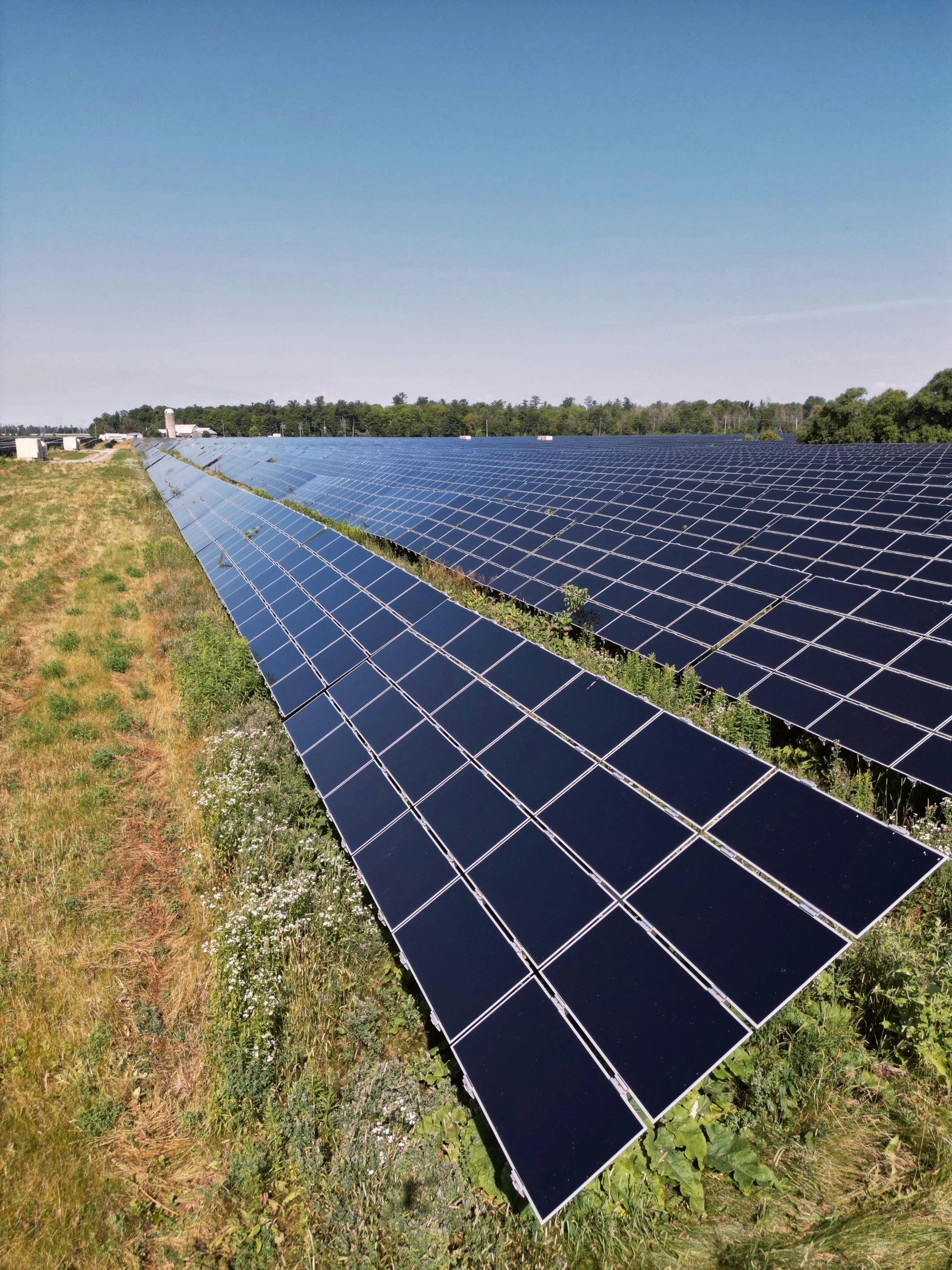 a large group of solar panels in a field