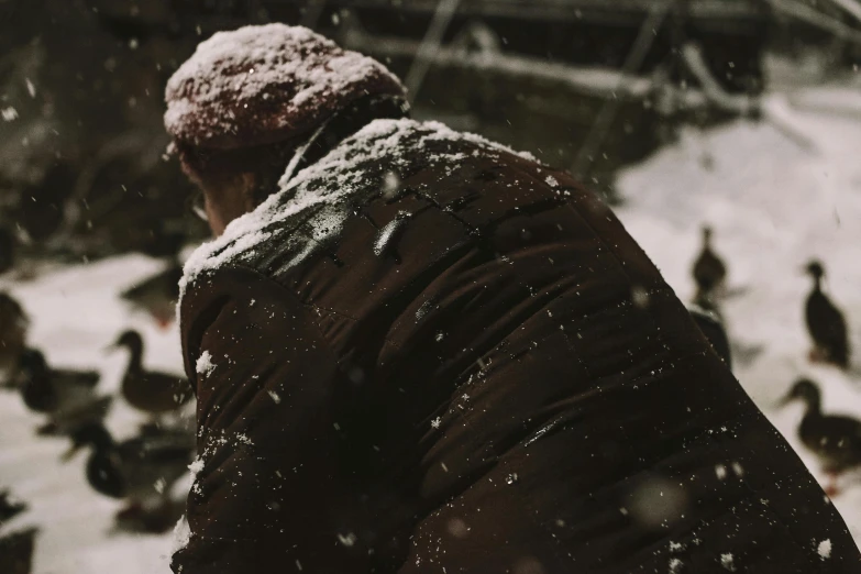 a man in a parka looking at ducks on the ground