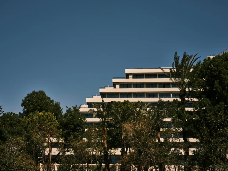 a white building on top of a tree lined road