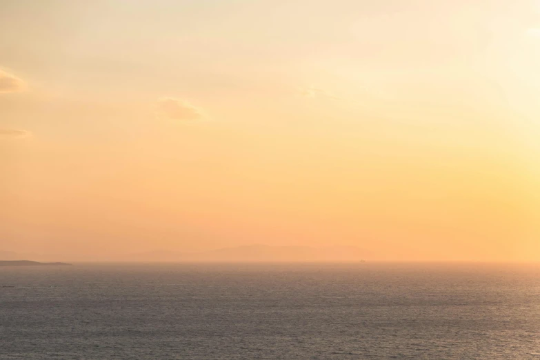 a bird stands on the edge of an island