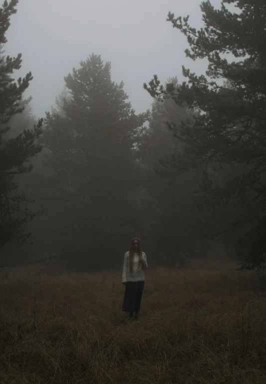 person standing in an open field with foggy skies