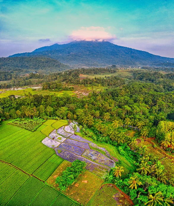 the mountains are shown above the valley in the jungle