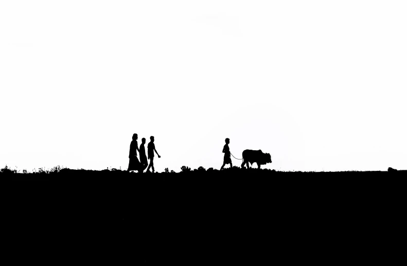 two people walking behind a herd of sheep
