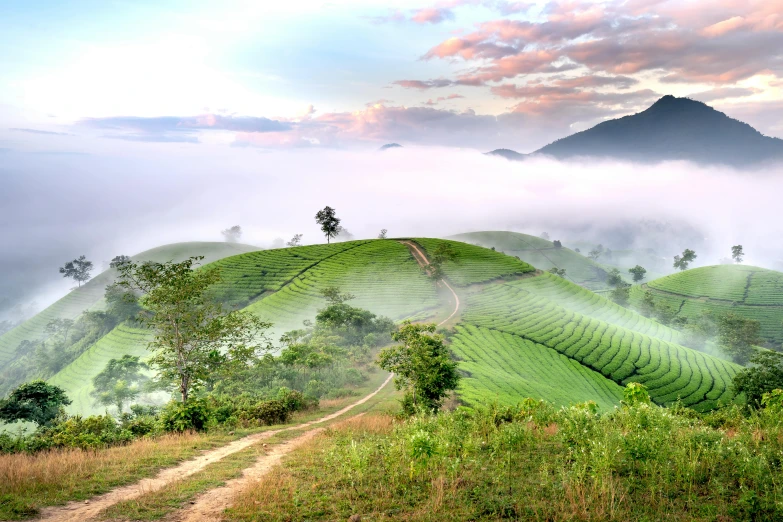 a beautiful misty landscape with a dirt trail going through the fields
