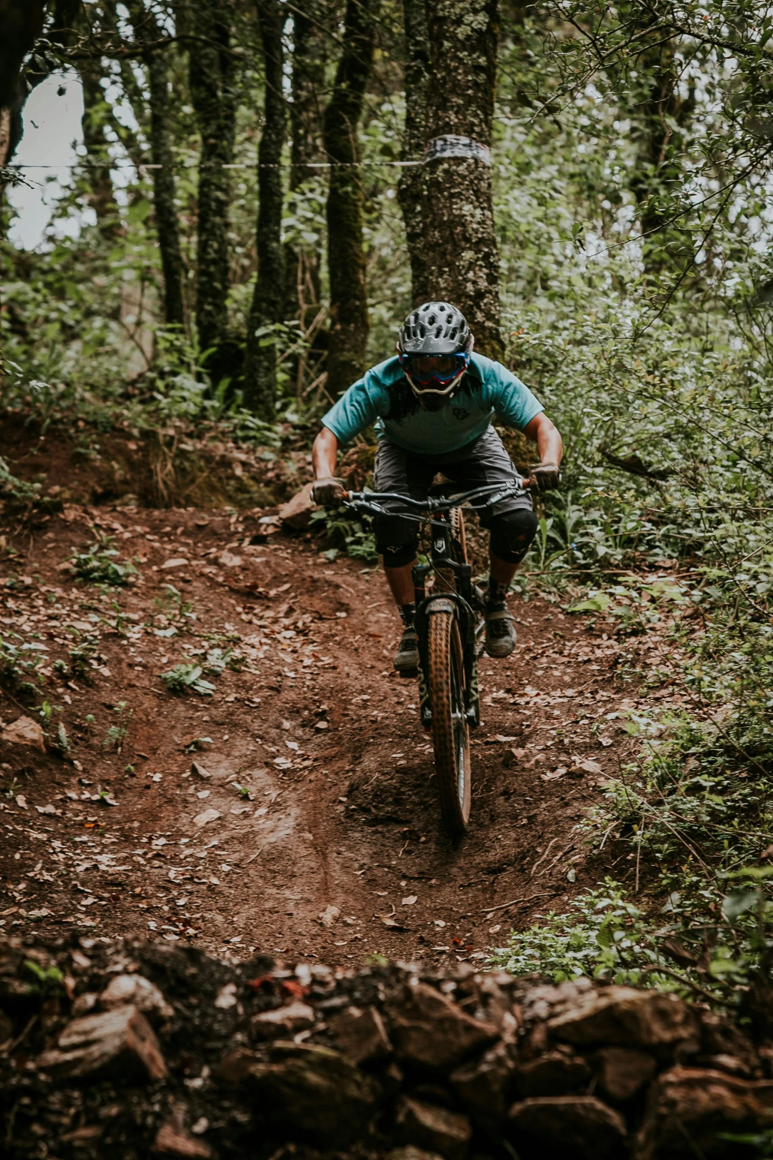 person riding bike through forest trail on sunny day