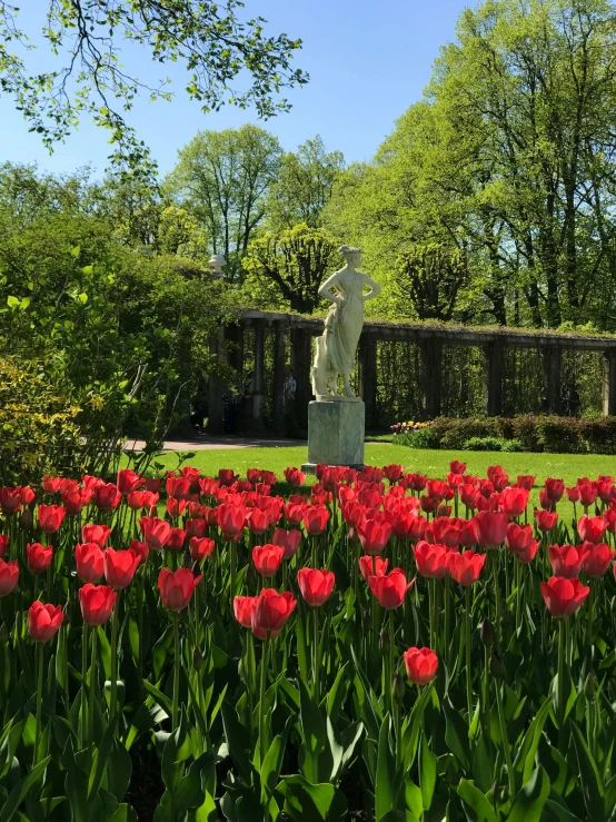 there is a statue in the middle of a garden