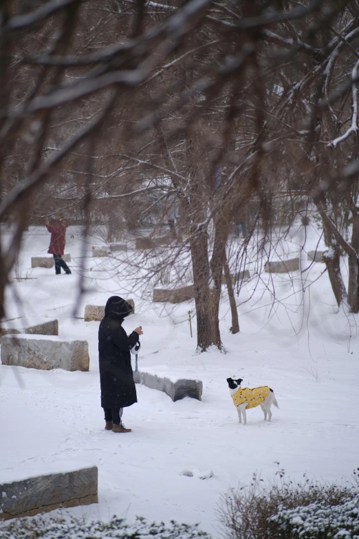 a person and a dog in the snow