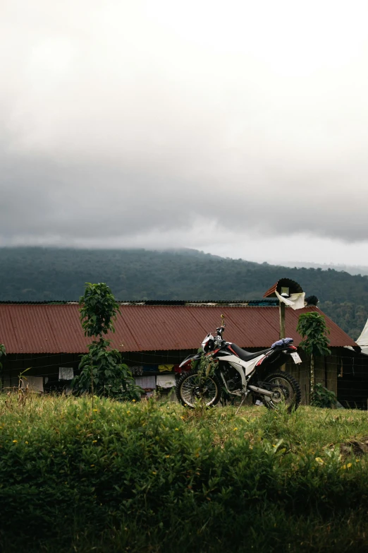 a couple of bikes parked on a grass covered hill