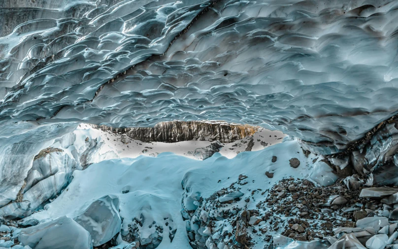 snow covered trees in the middle of a cave