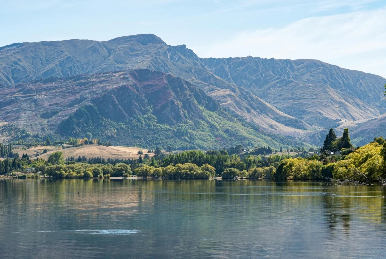 water surrounded by trees with mountain in background