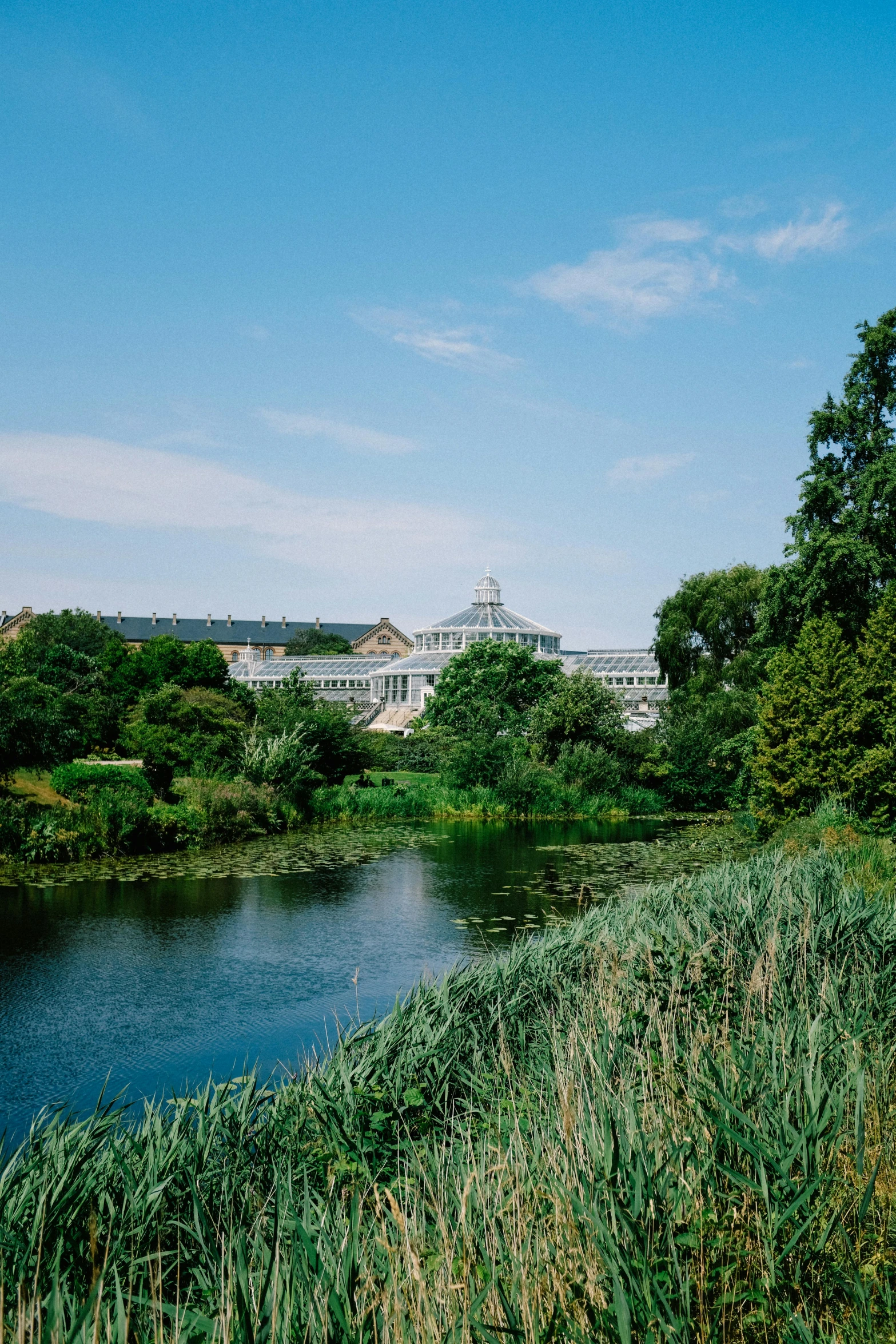 a river and buildings near the grass and trees