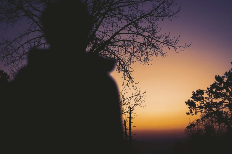 a person stands behind trees in the dark