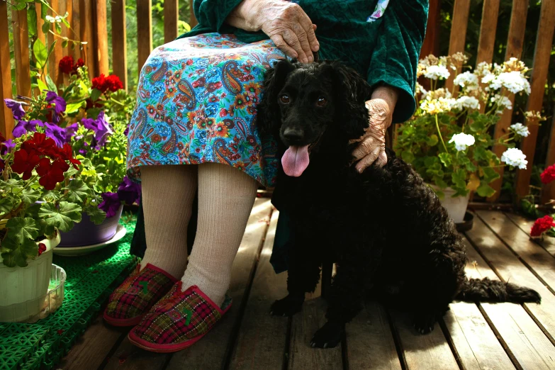 a woman sitting on a wooden deck with a dog