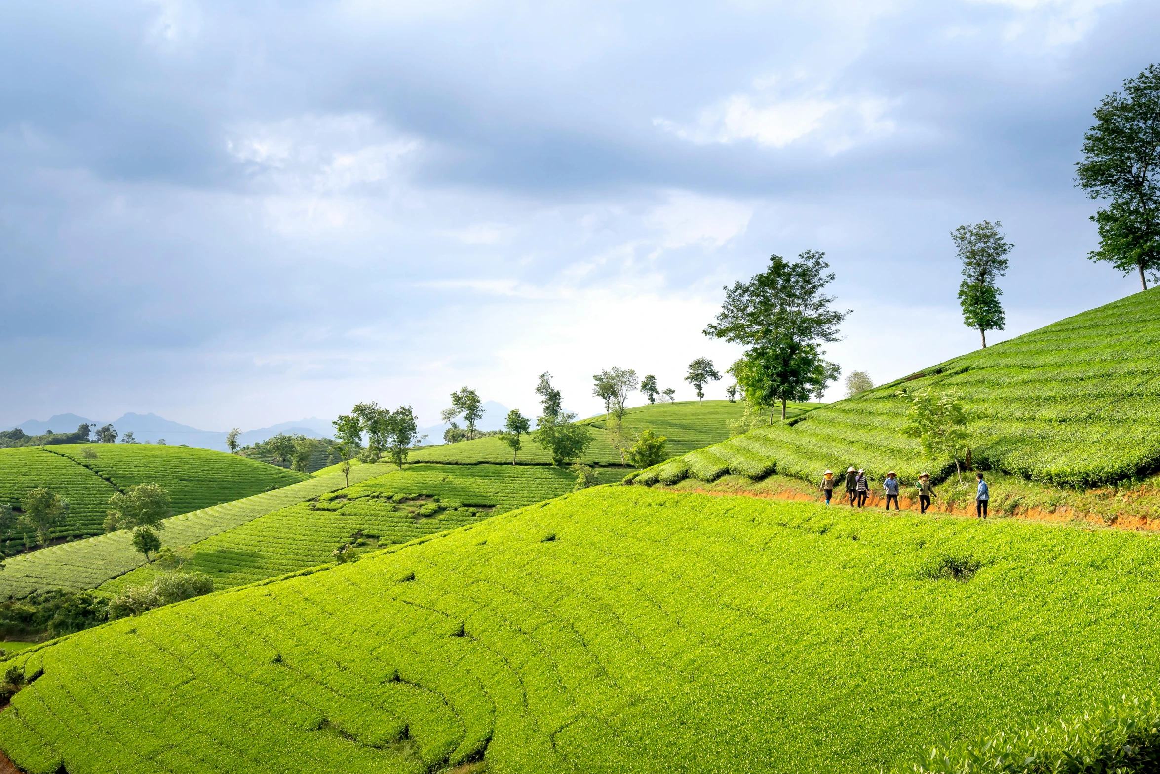 people stand on a green hill covered in grass