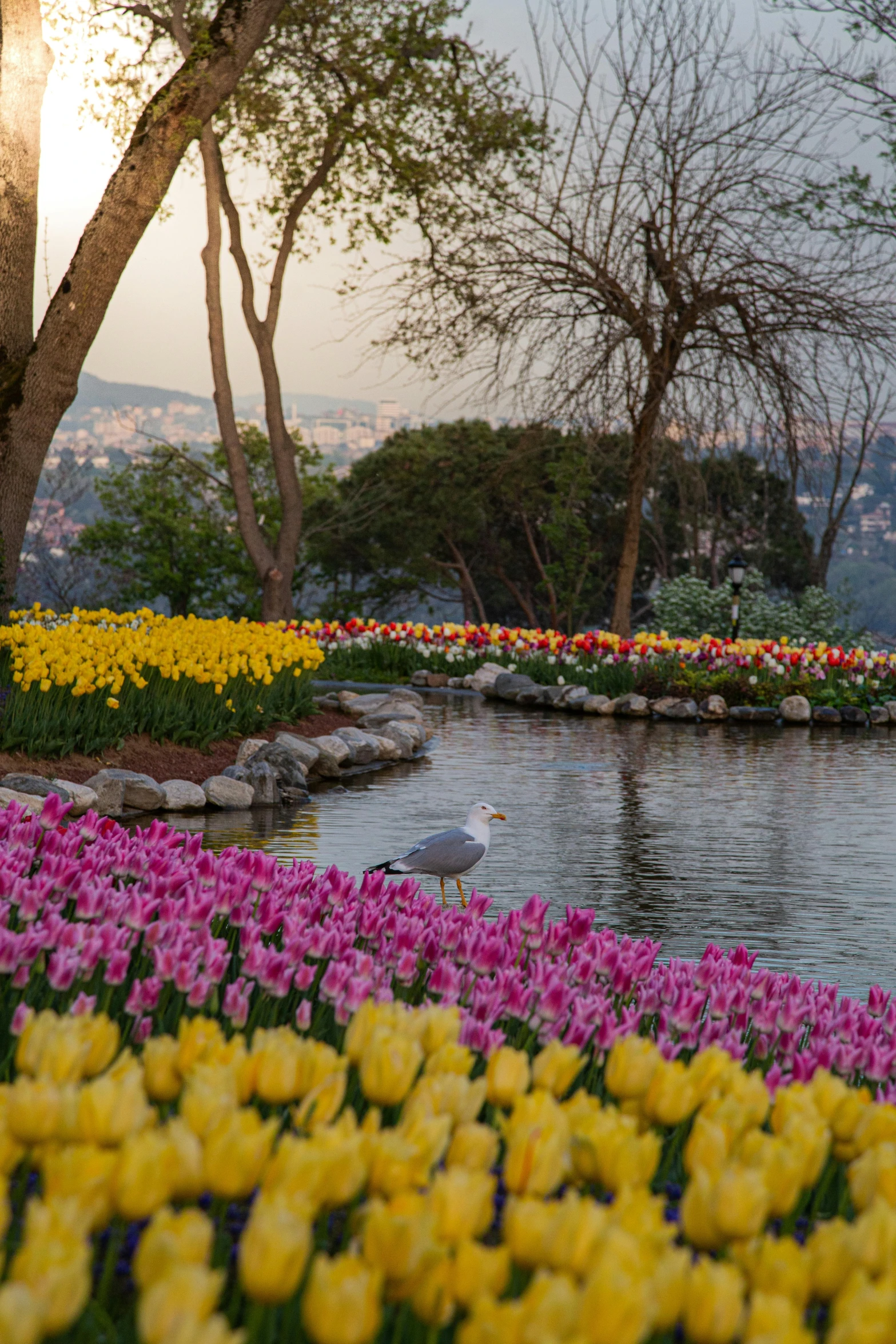 the flowers in the park are blooming everywhere