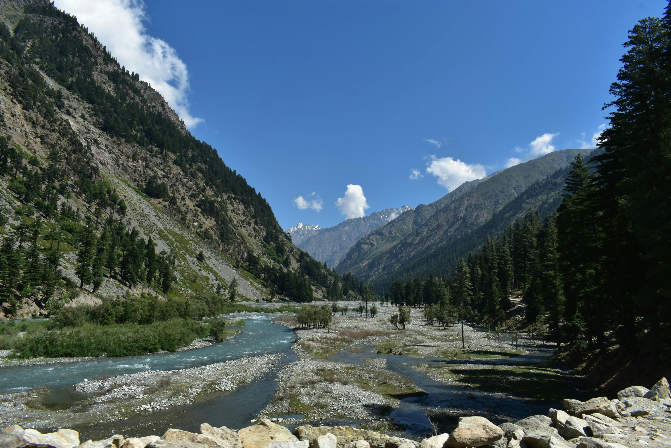 a beautiful mountain scene shows trees and rocks