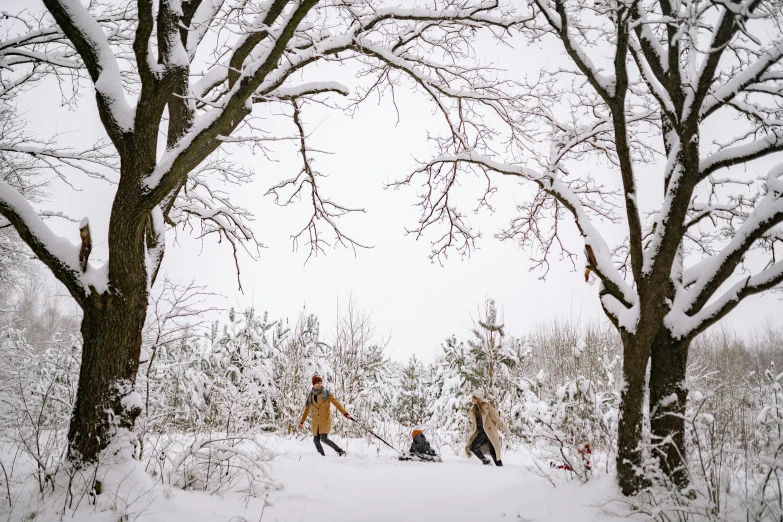 people walking through the woods in snow on a snowy day