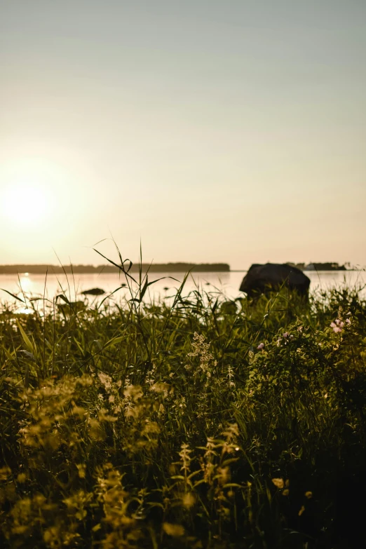 the sun is rising over water and grass