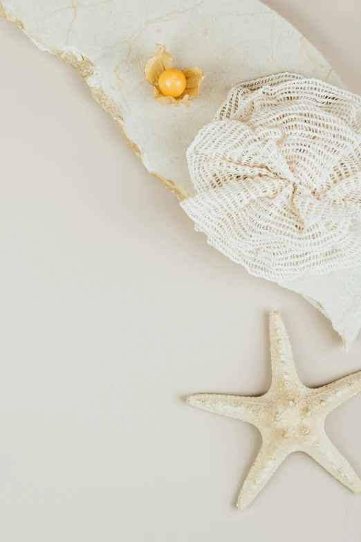 a starfish laying on a cloth with a sea sponge nearby