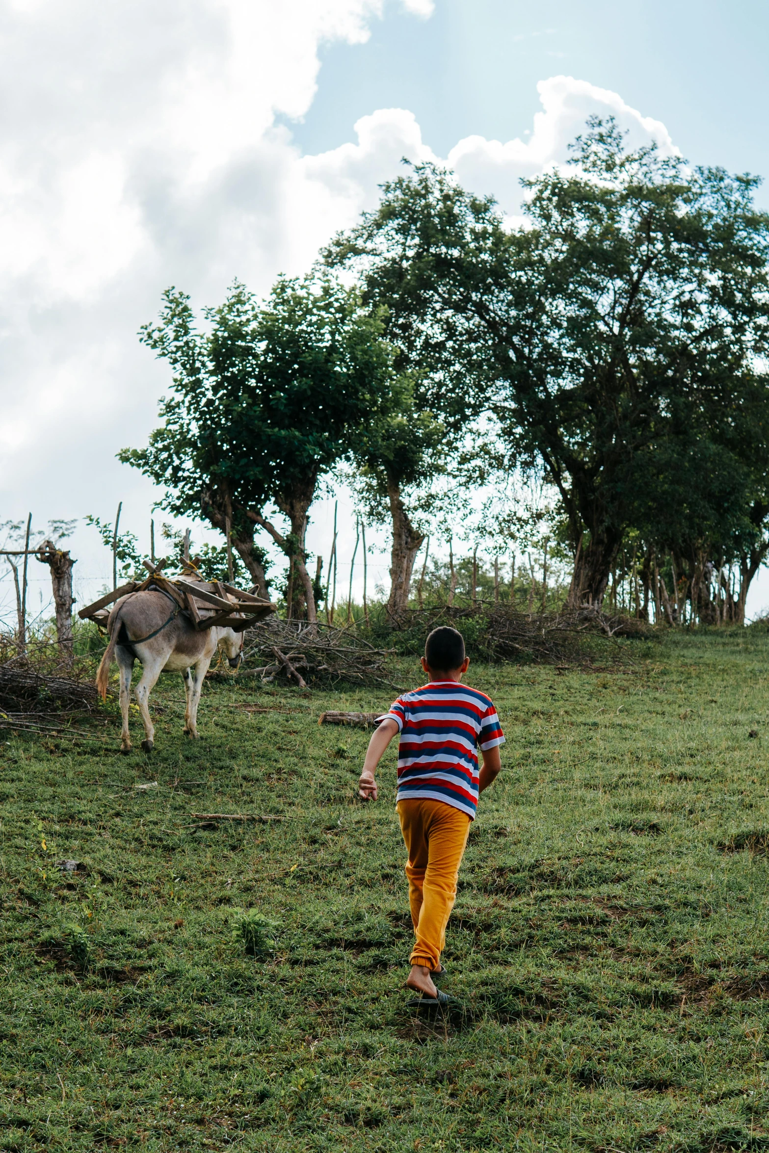 there is a child walking alone in the field