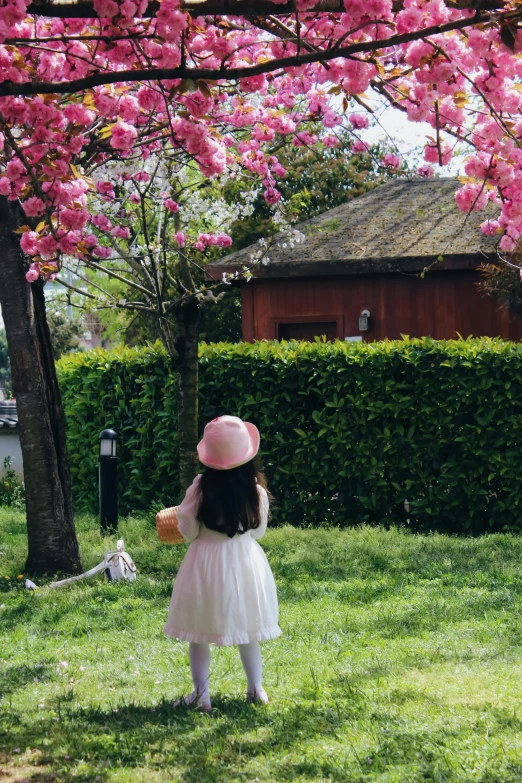 a little girl with a pink hat is looking at some flowers