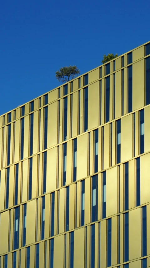 a close up of a building with blue windows