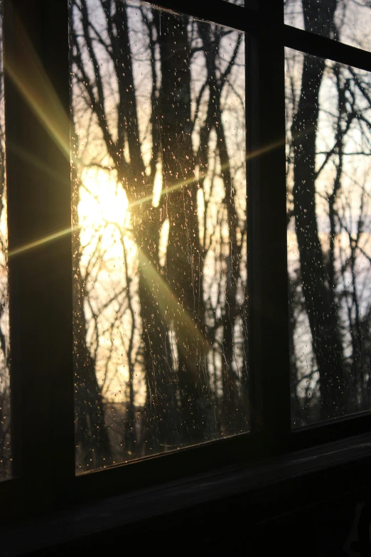 a view through a window at a sunny area