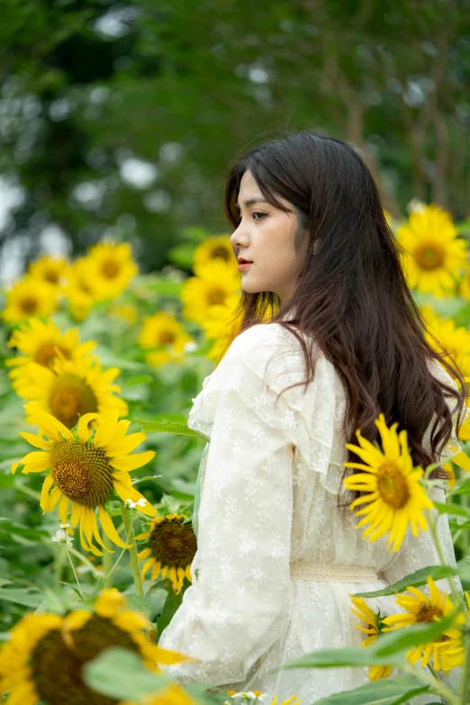 a woman standing in a sunflower field surrounded by green trees