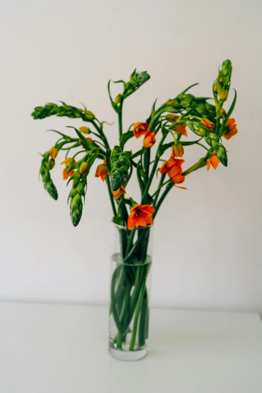 a clear glass vase holds orange flowers and green stems