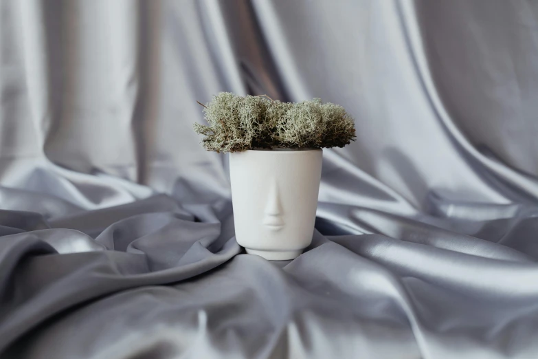 a plant grows inside of a head vase