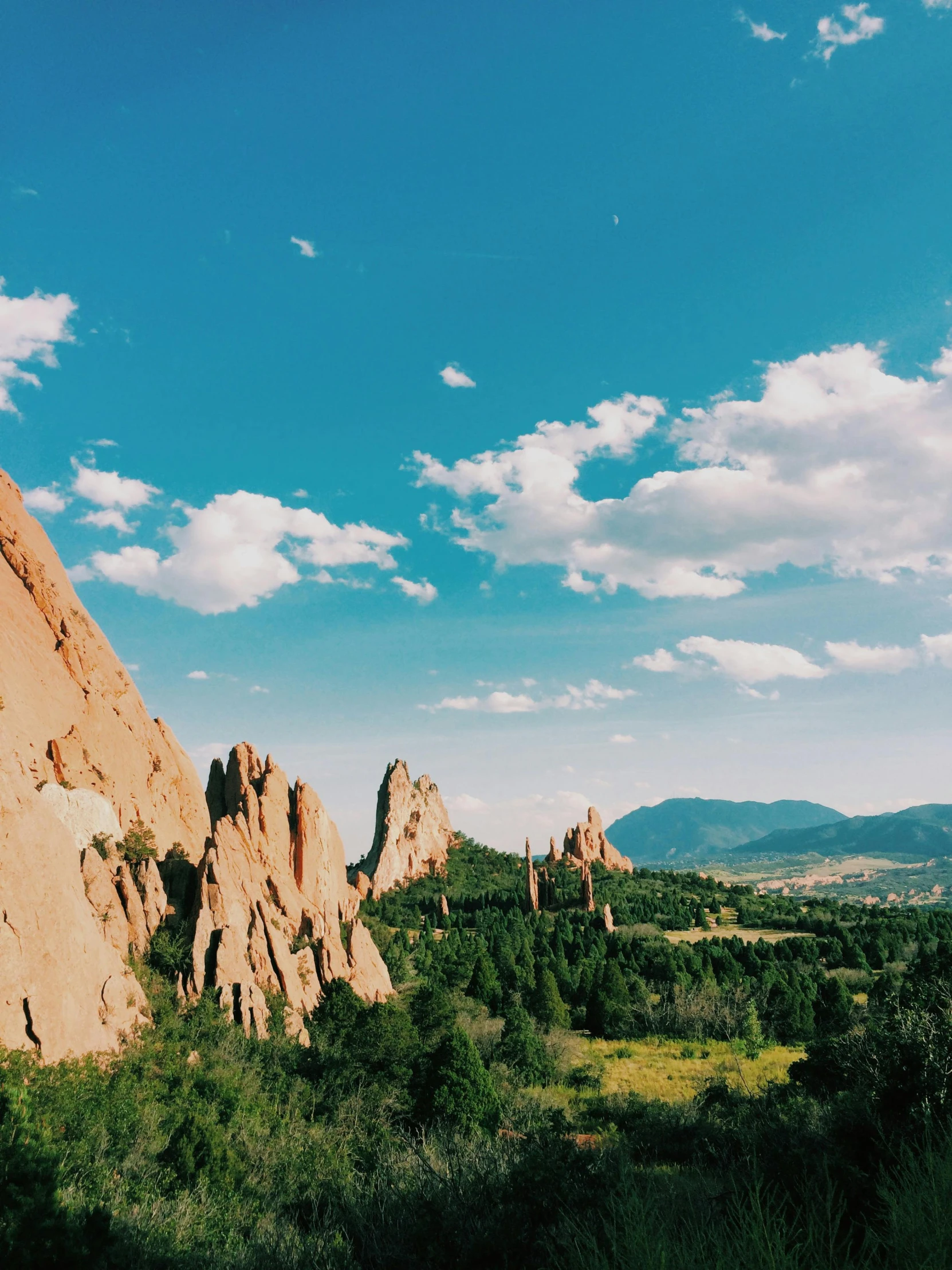 this mountain area is dotted with green vegetation