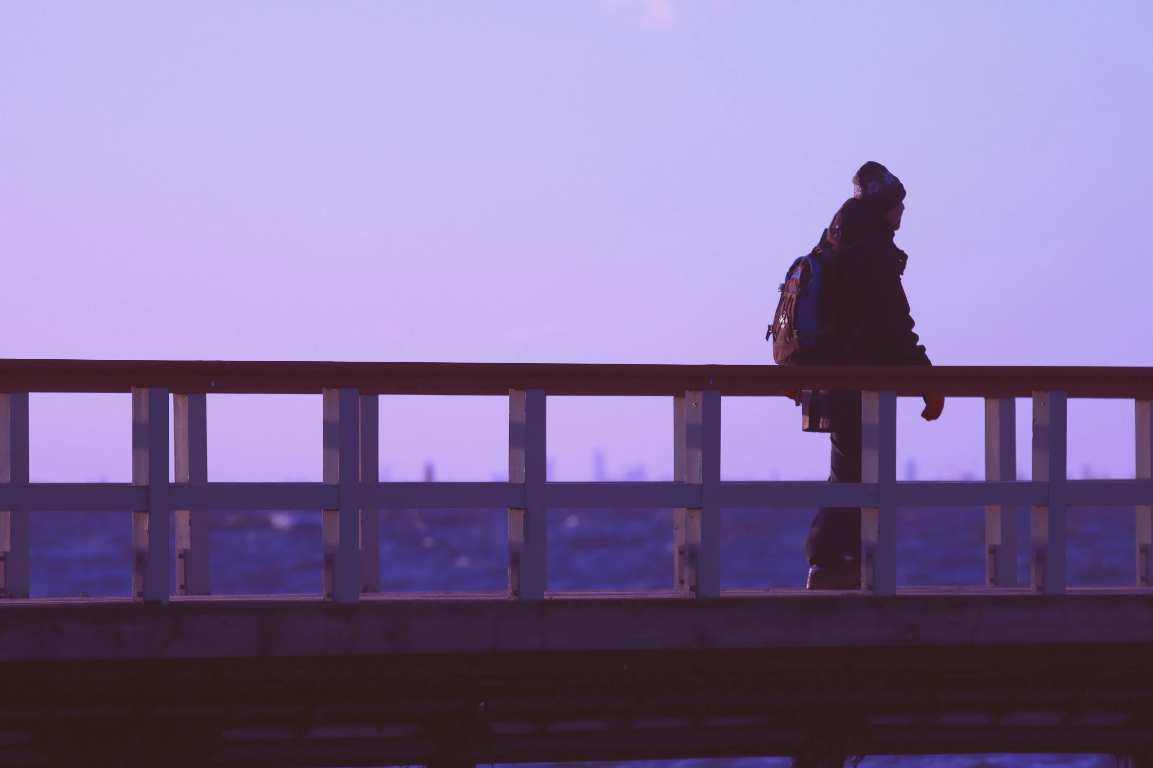 a person standing on a bridge near the ocean