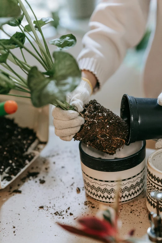 a woman using gardening equipment to grow flowers