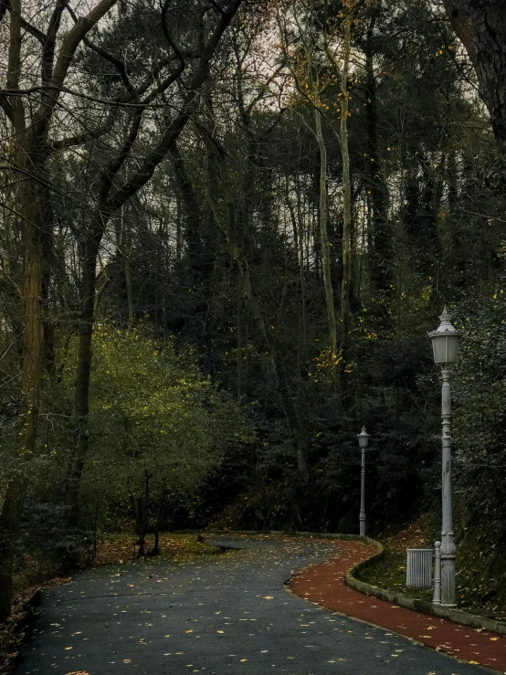 an empty street in a park at night