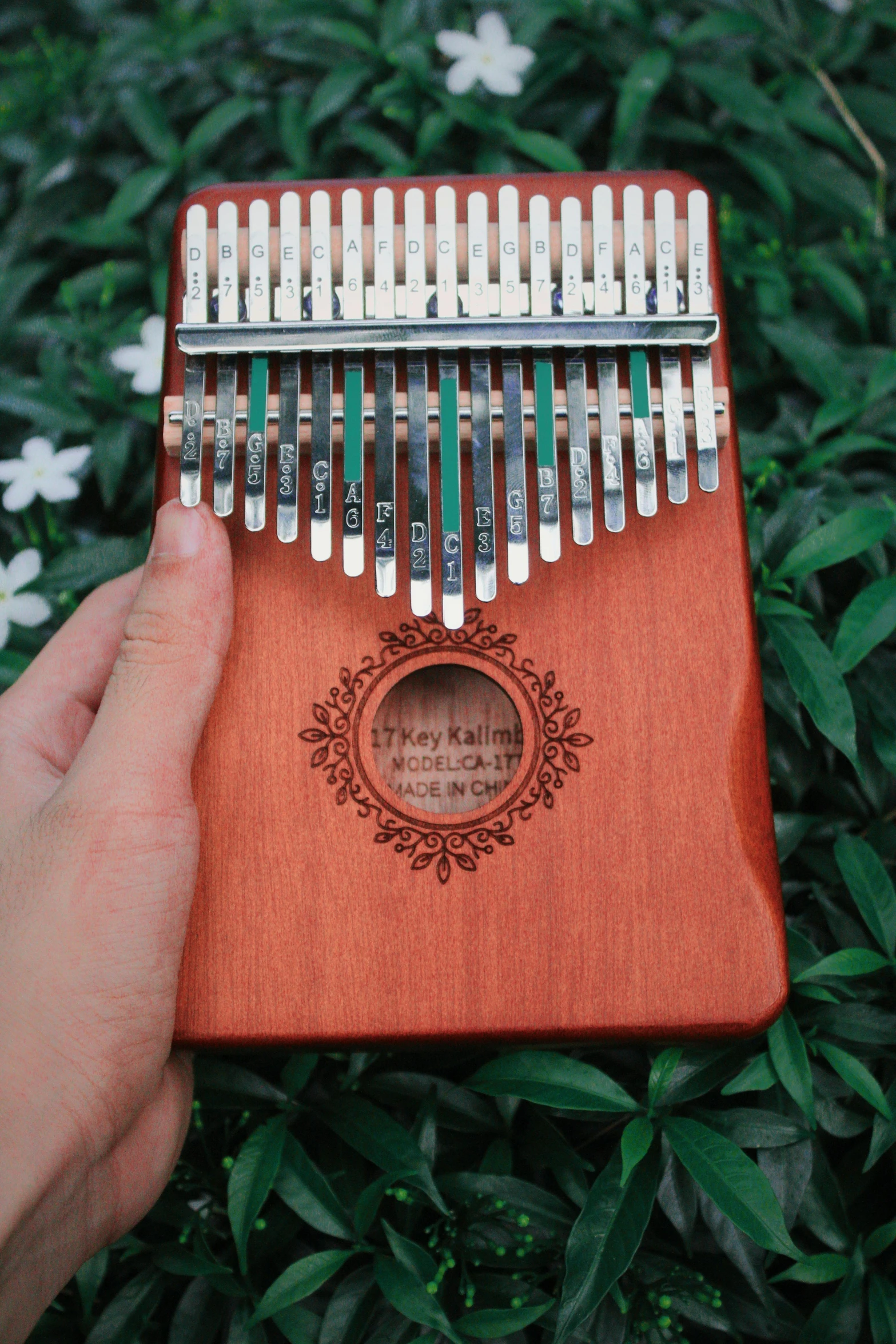 a close up of an individual holding a wooden instrument