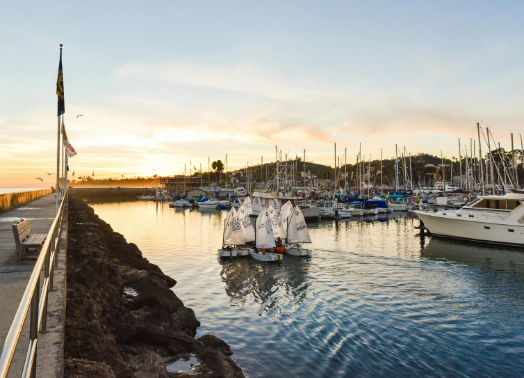 many boats at a marina at sunset on the water