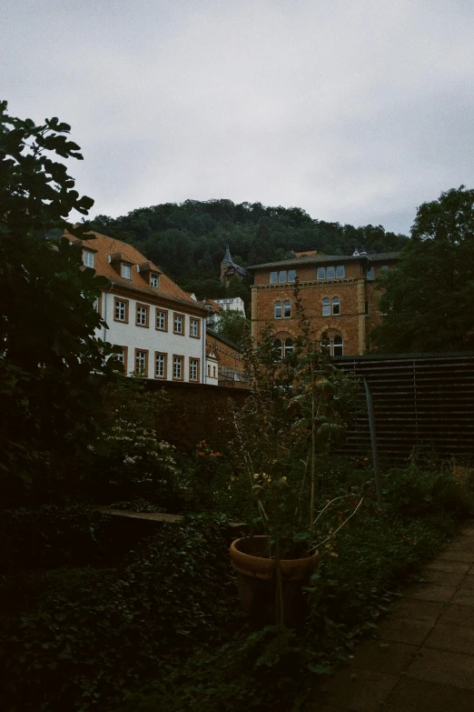 an outside s of a city with lots of trees