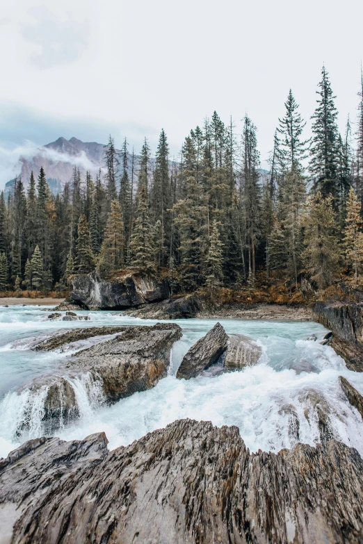 a river flows past many pine covered rocks