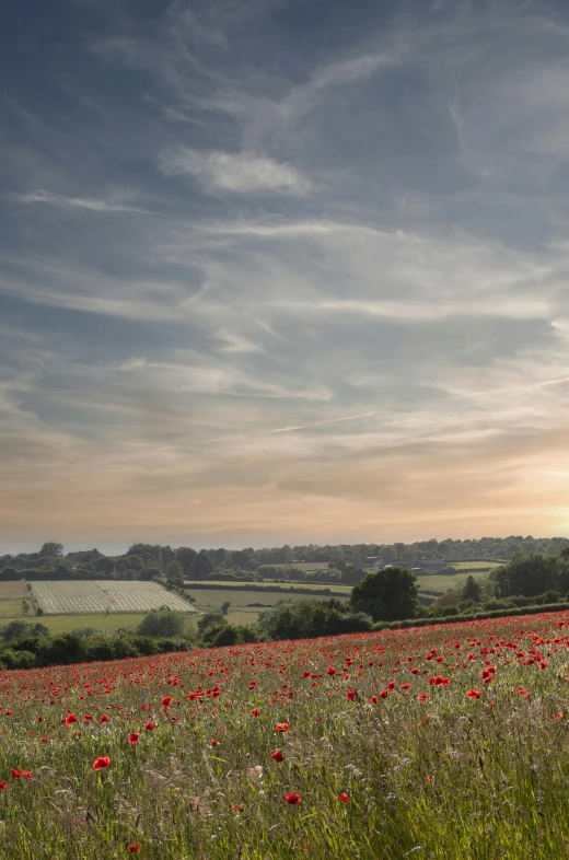 a lone bench sitting in the middle of a field