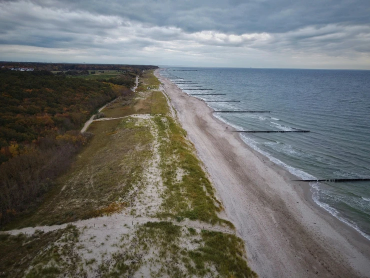 an image of a beach with the ocean and trees in the background