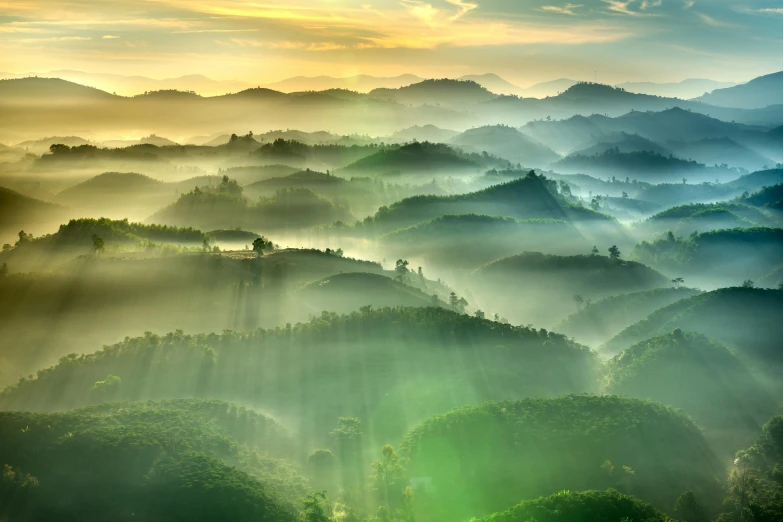 foggy, mountainous landscape with sun rays beaming from the trees