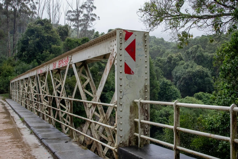 a bridge on the side of a river in the jungle