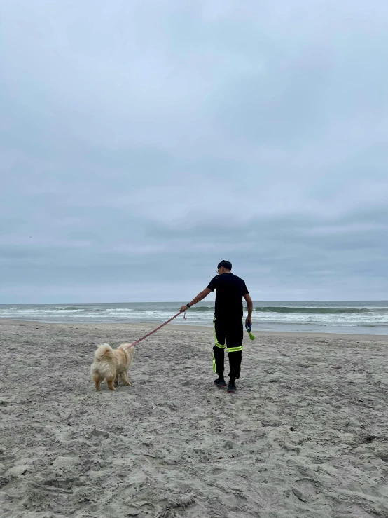 a person in black and yellow is holding a white dog on the beach