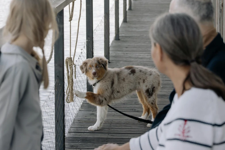 the woman is holding onto the leashed dog