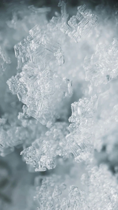 an image of frosty snow crystals on the windows