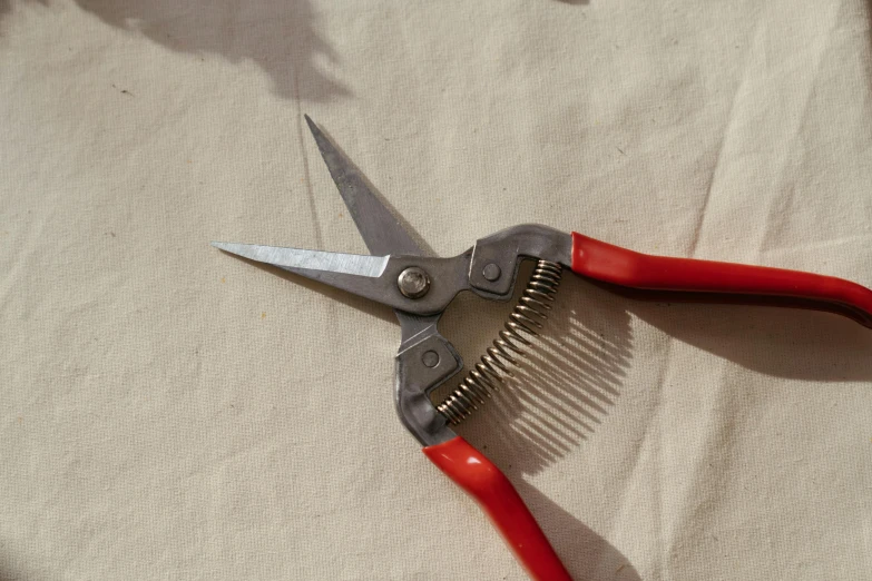 an image of a pair of scissors laying on top of fabric