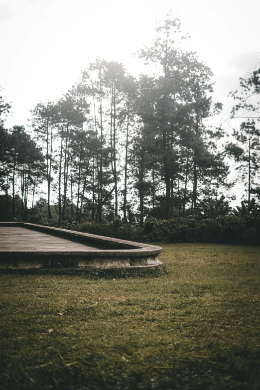 a bench in the middle of the grass near some trees