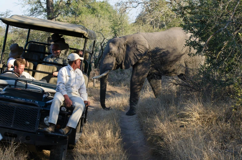 some people in white on a safari with an elephant